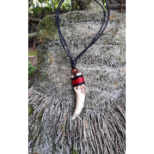 KALUNG TARING || KALUNG ETNIK TARING HARIMAU