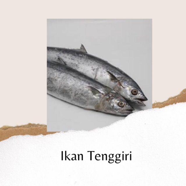 

IKAN TENGGIRI SEGAR BERKUALITAS BANDUNG