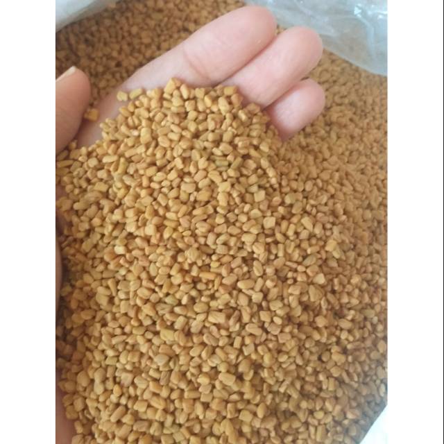 Jual Methi Seeds 500gram Klabet Shopee Indonesia