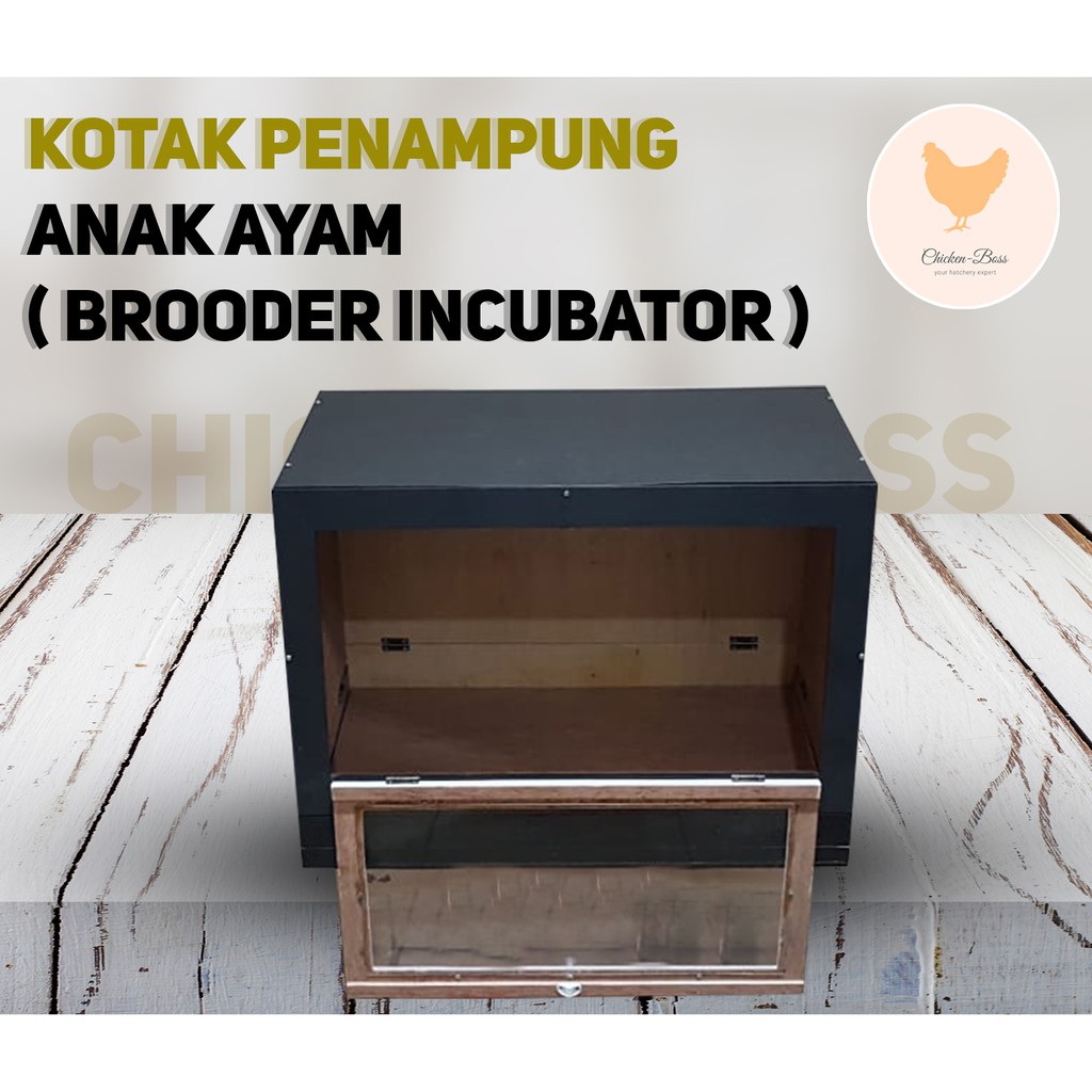 Kotak Penghangat Anak Ayam Brooder Incubator