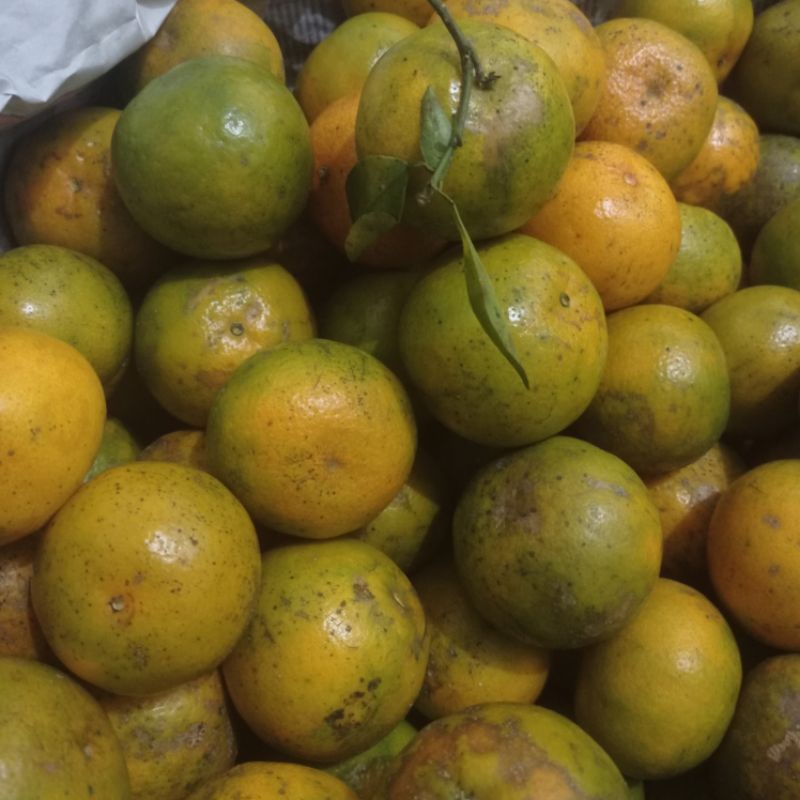 

jeruk madu manis 1 kg