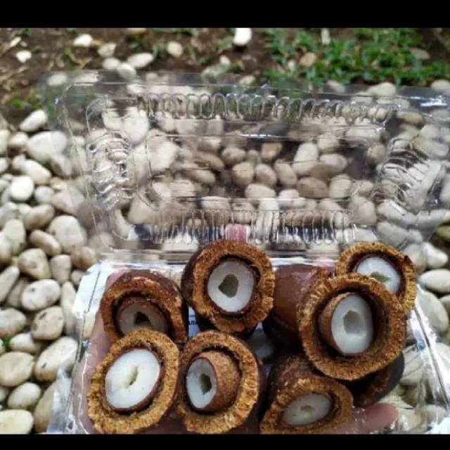 

Buah Dhom / Zuriat