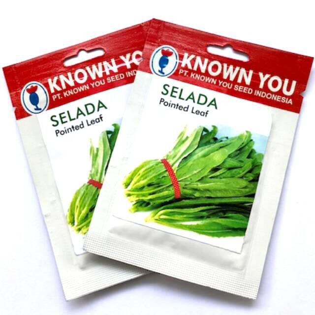 SELADA POINTED LEAF 5 GRAM PACK KECIL benih biji Selada Siomak selada wangi lettuce Known You Seed