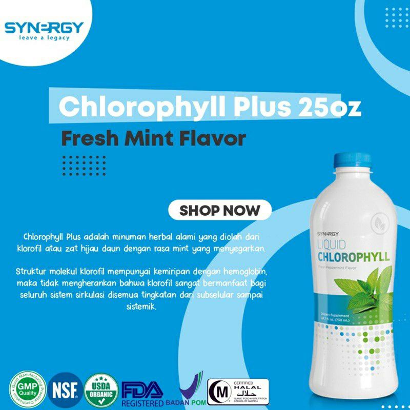 Chlorophyll Plus (730ml) Pembersih Racun Tubuh dan Antioksidan 100% Original Synergy