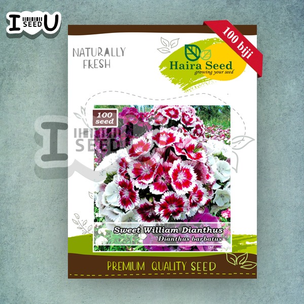 Haira Seed Bibit-Biji Bunga Sweet William Dianthus