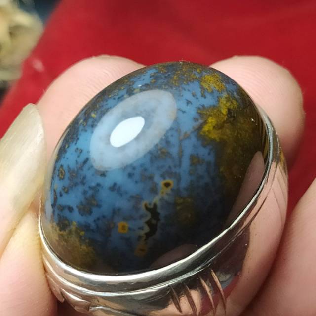 Bacan Doko elektrik aka bacan kembang jumbo