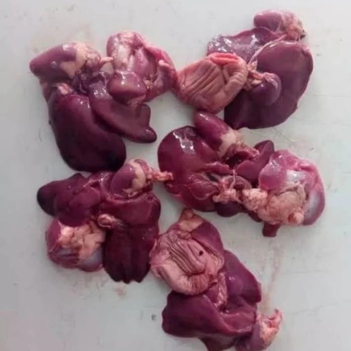 

Hati - Ampla Ayam Negeri 1 pasang Fresh.