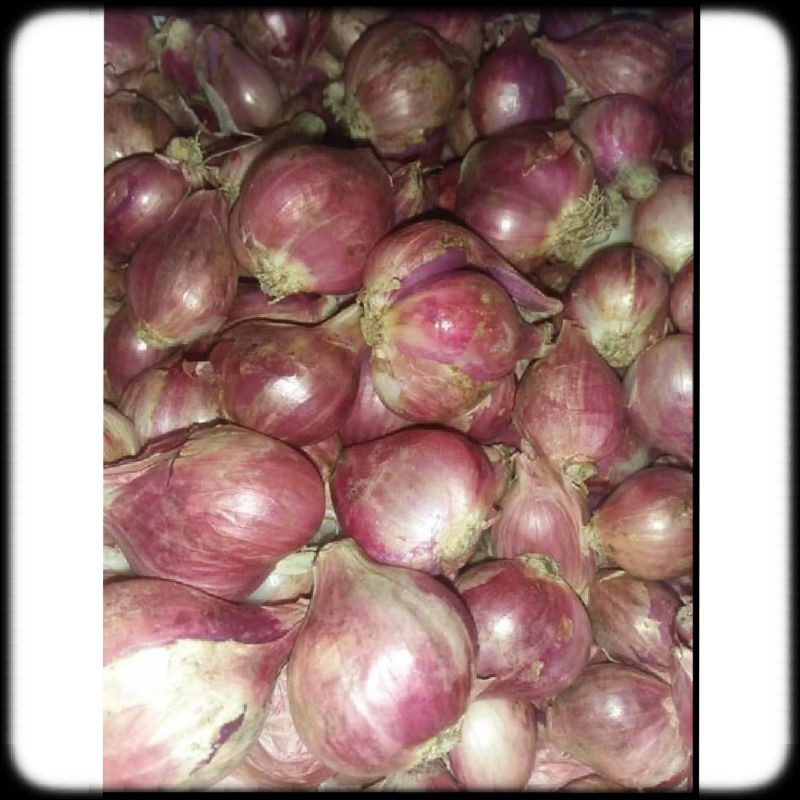 

BAWANG MERAH ASLI BREBES 1kg