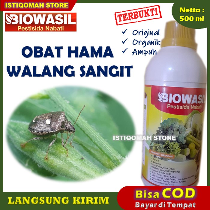 Insektisida Pestisida Organik Obat Hama BIOWASIL 500ml Pembasmi Walang Sangit/Kungkang Pada Semua Ta
