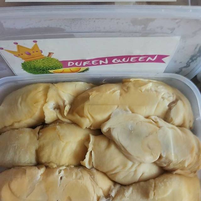 

Duren Queen