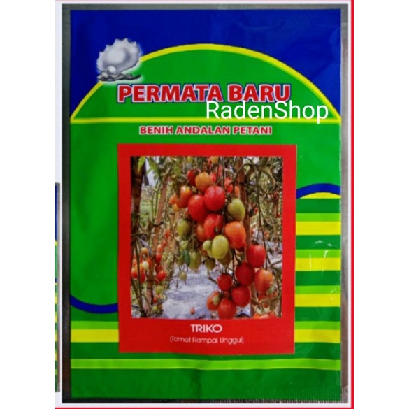 Benih Tomat TRIKO || Bibit Tomat || Biji Tomat || Tomat Sayur || Benih Sayuran