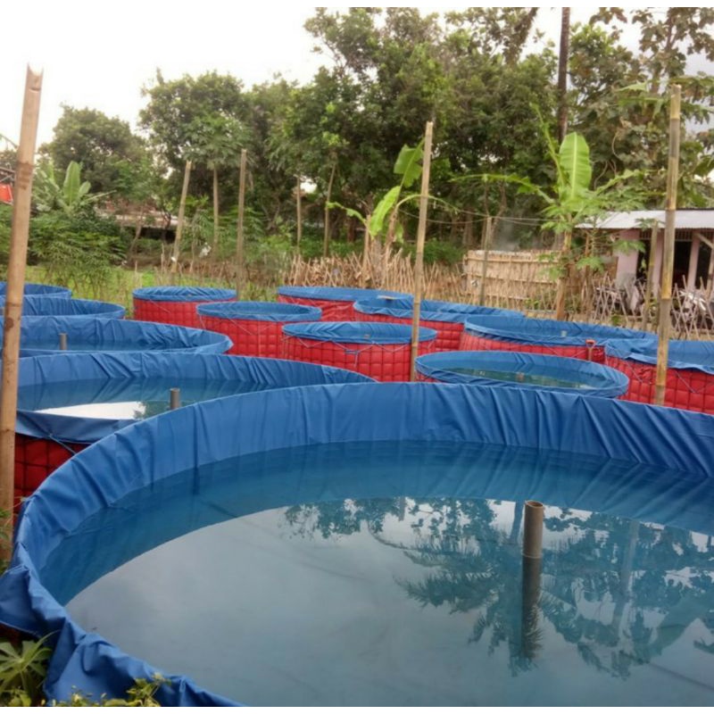 Terpal kolam bulat diameter 3, tinggi 1meter bahan terpaulin