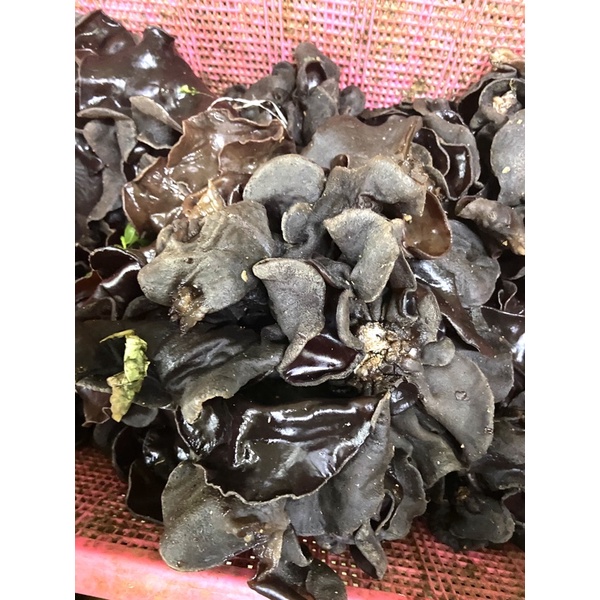 

Jamur kuping 250g