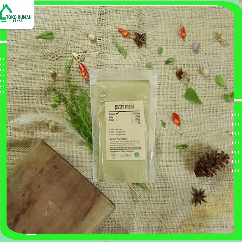 

PUTRI PUTERI MALU 500 GRAM - Mimosa Pudica - MURNI - JSR - REMPA