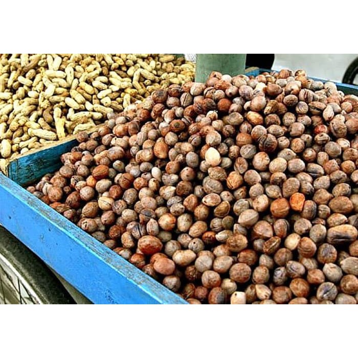 

Unik KACANG BOGOR MENTAH Berkualitas