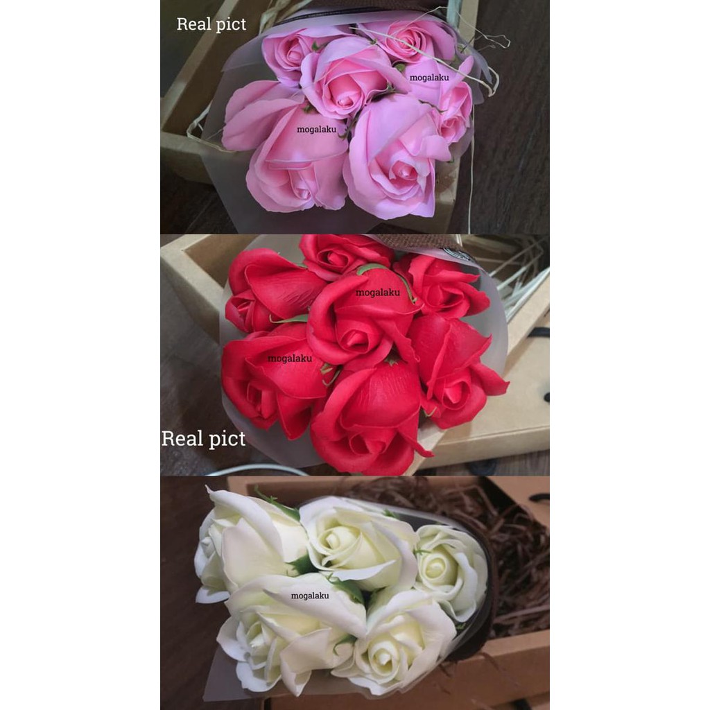 Fantastis 15 Gambar Bunga Mawar Untuk Valentine Richa Fantastis 15 Gambar Bunga Mawar Untuk Valentine Richa