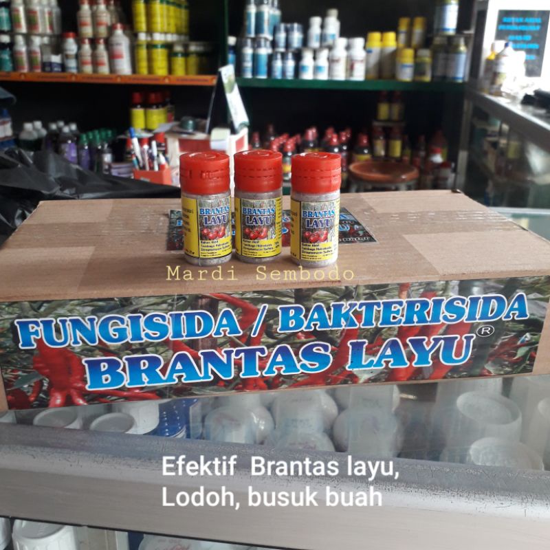 Fungisida dan Bakterisida BRANTAS LAYU Obat Lodoh Otomatis patek Layu fusarium cabe bawang merah 25g