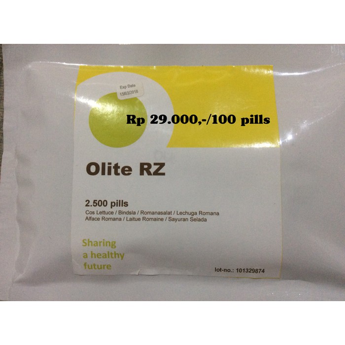 Cos Lettuce - Olite RZ