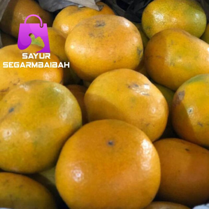

jeruk medan