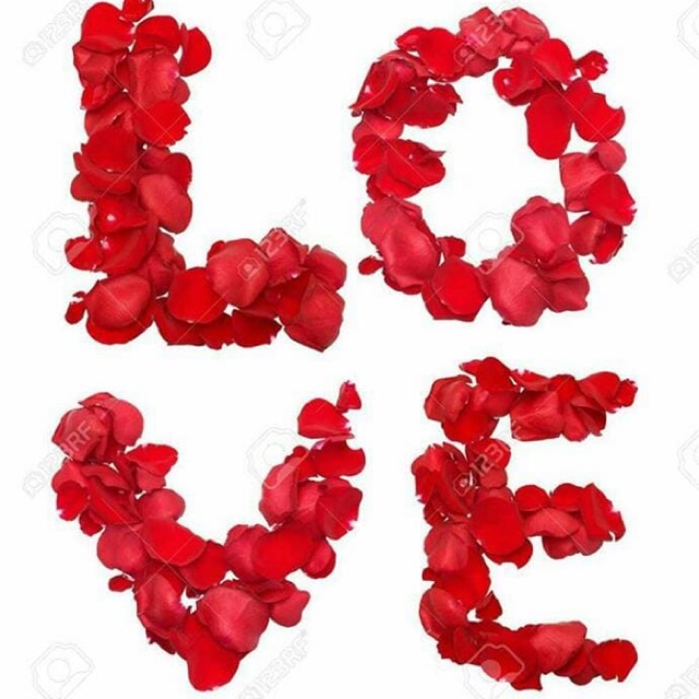 CHOCHOgrosir - Bunga Tabur Palsu - Bunga Tabur Merah - Bunga Tabur Pink - Bunga Tabur Ungu - Biru