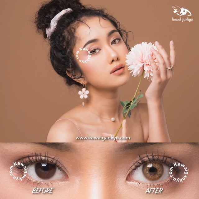 KawaiGankyu Softlens - Voxie lily brown (1botol)