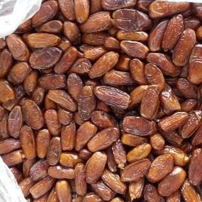 Kurma Tunisia Madu 1 Kg Original Best Quality Premium
