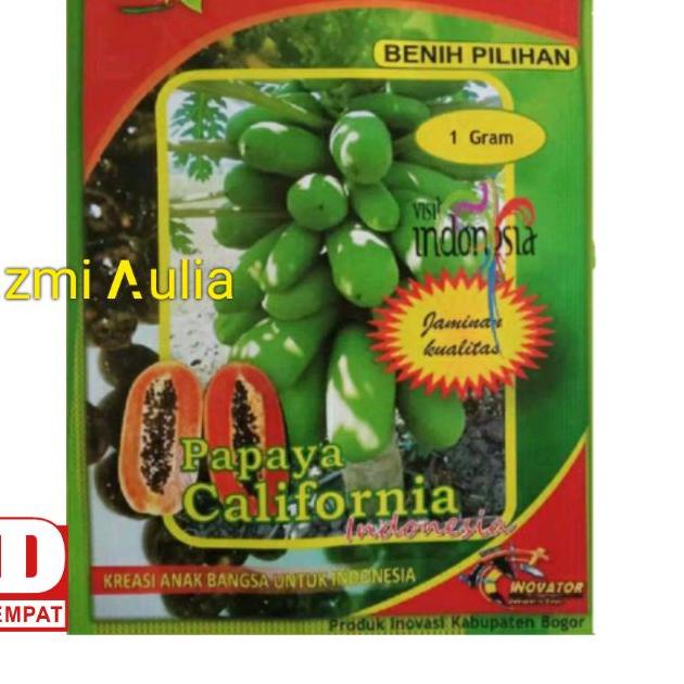 ♧ Benih Pepaya California SUN GRADS Isi Sekitar 60 Biji Bibit Pepaya Bibit Pepaya California Benih P