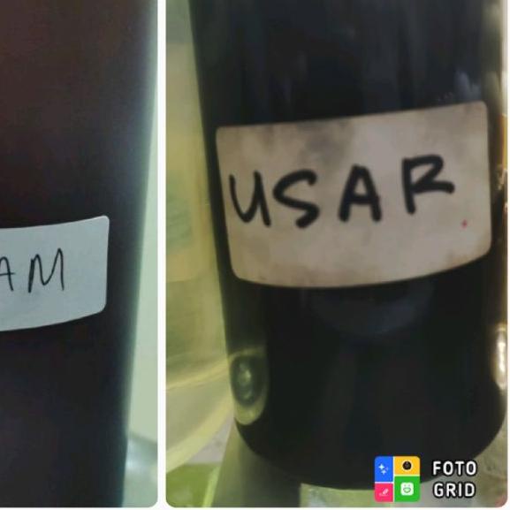 ♛ Essen Nilam & Usar ✳