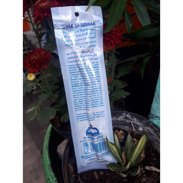 kayu siwak asli arab