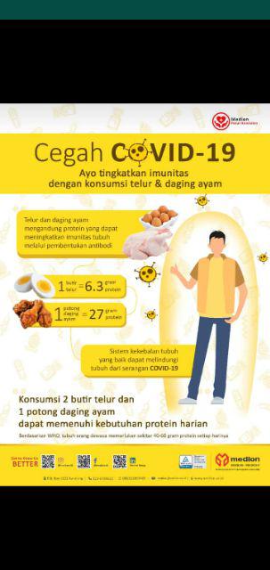 Semprotan Kyokan 1 Liter Pressure Sprayer