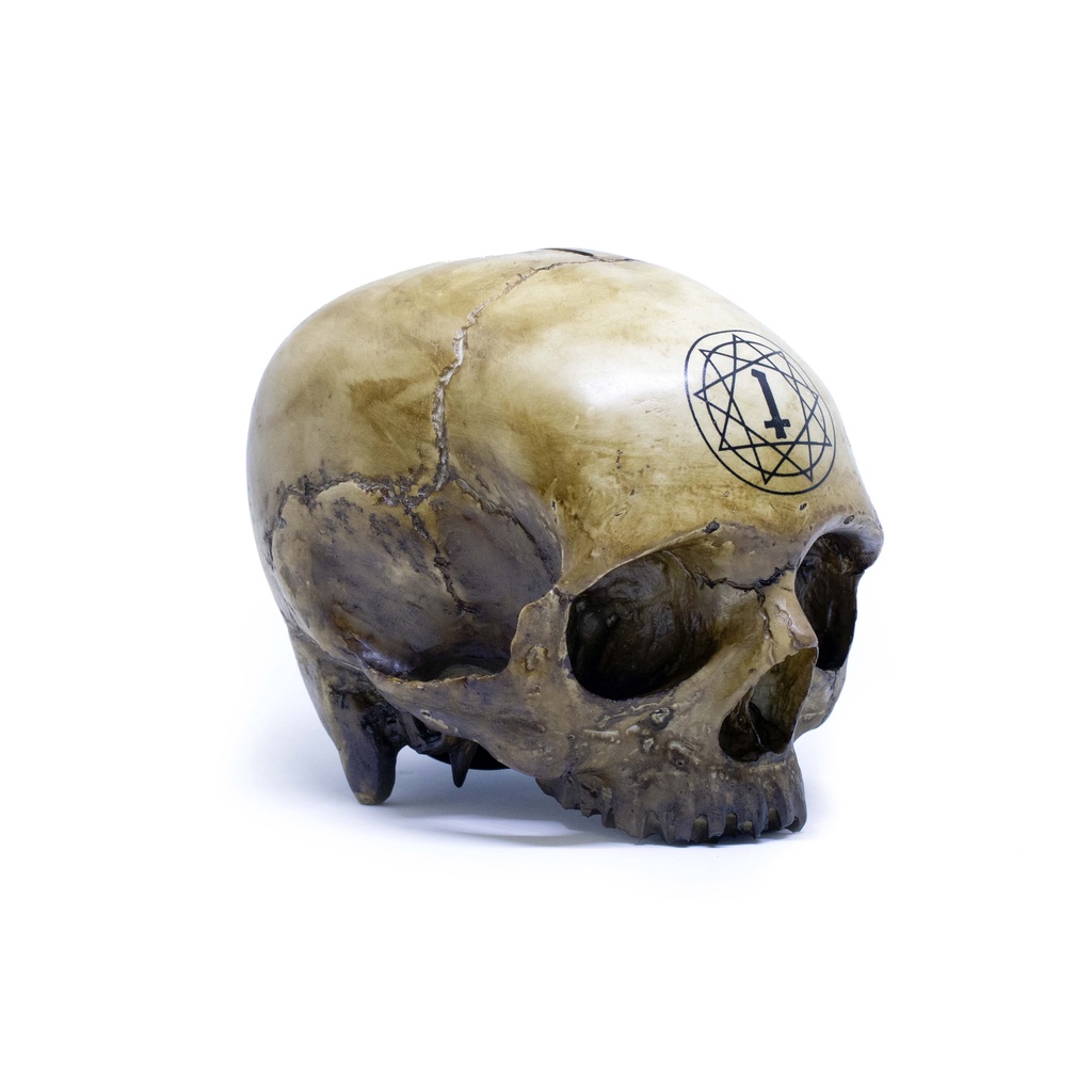 Heretic - Money Bank / Celengan - Tengkorak - Pentagram Skull