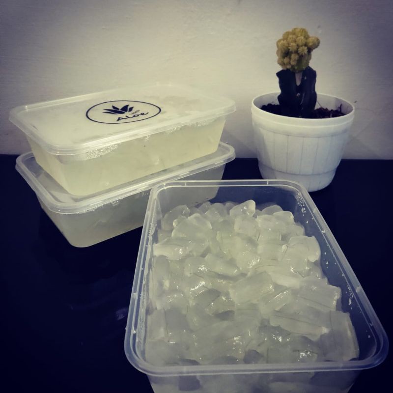 

Aloevera / Lidah Buaya Kupas Ukuran 500gram