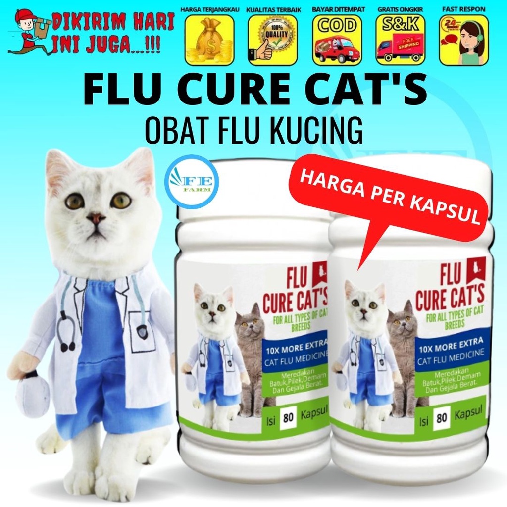 OBAT FLU KUCING / PILEK | AMAN UNTUK KUCING HAMIL DAN MENYUSUI ECERAN FEFARM