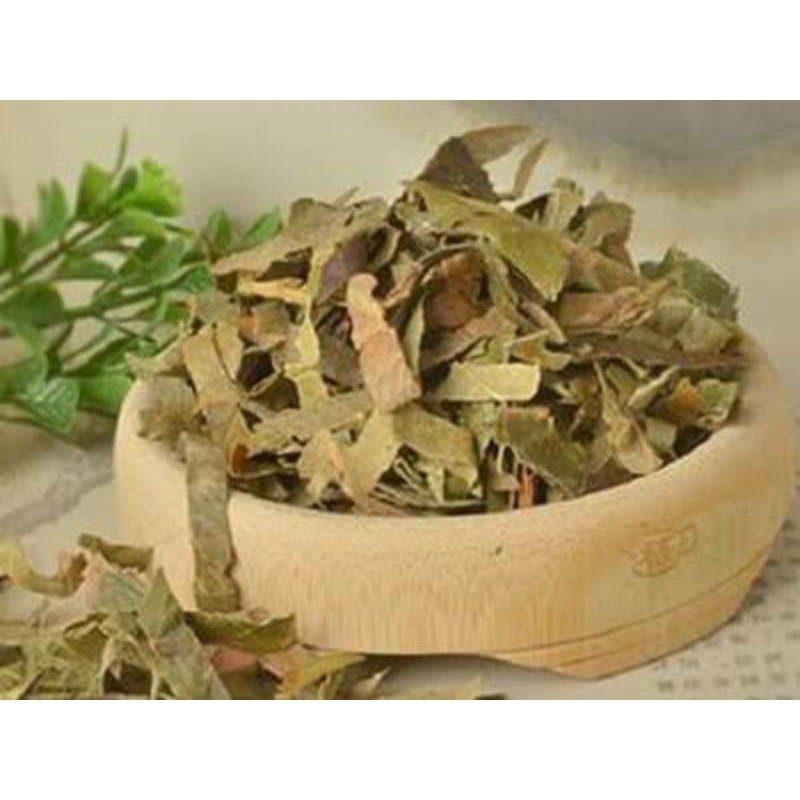 

100gr Herbal Pi Pa Ye 枇杷叶 Daun Biwa Eriobotrya Japonica Thunb Folium Eriobotryae