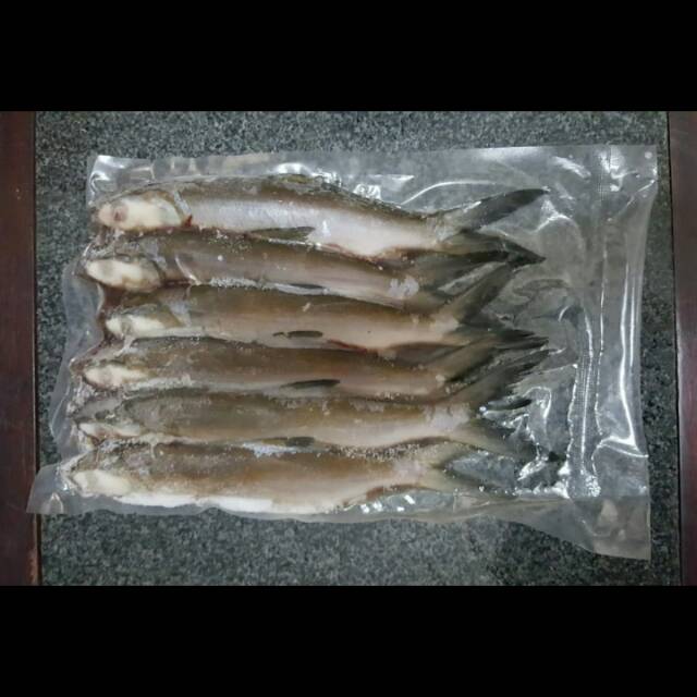 

Ikan Bandeng beku 600gr