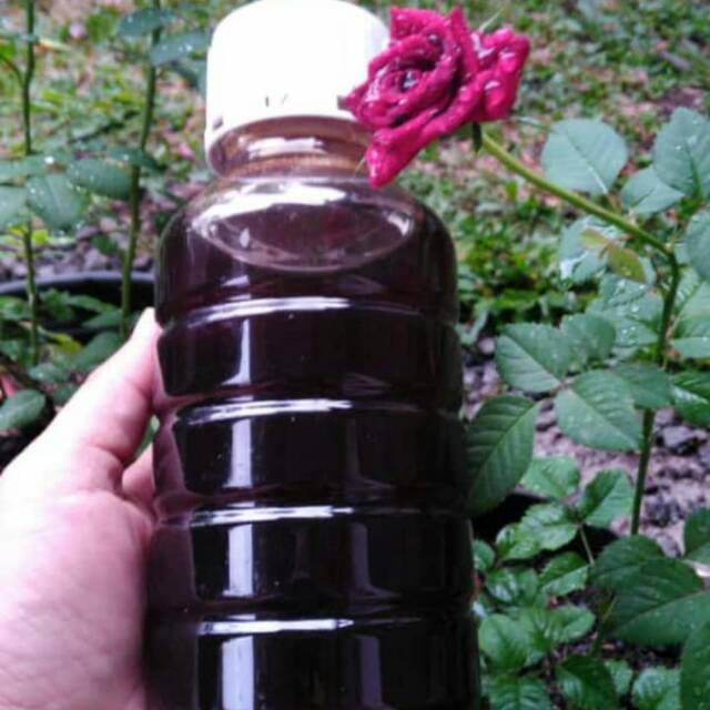 

madu klanceng trigona 500 ml