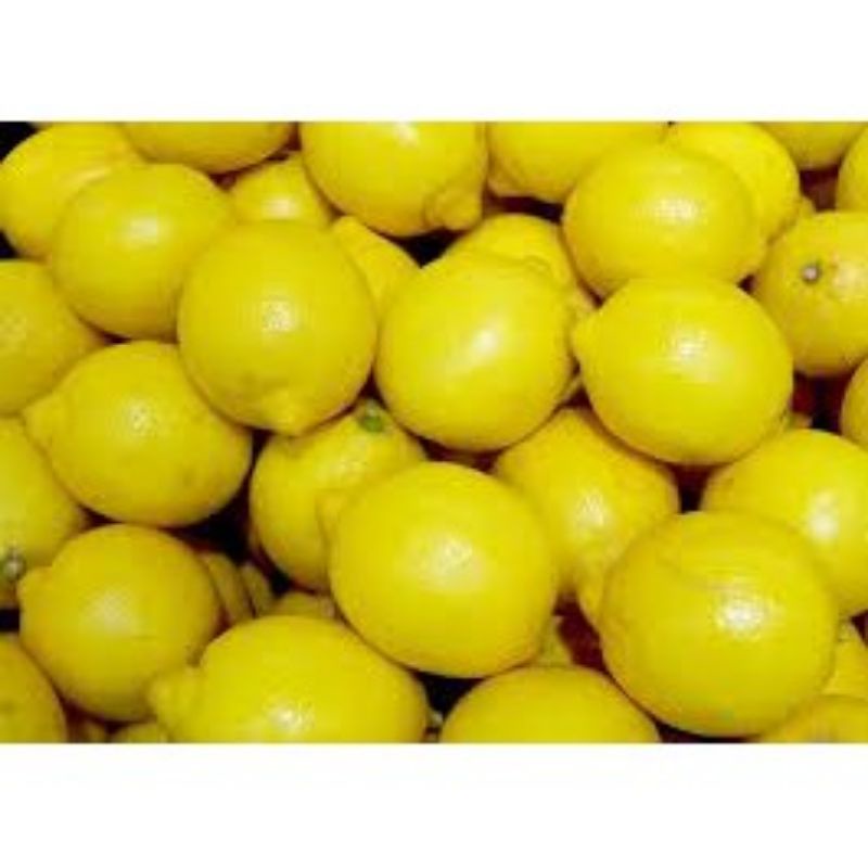

lemon segar 250gr