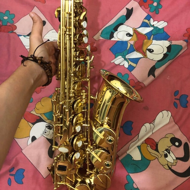 Saxophone Alessandro like new