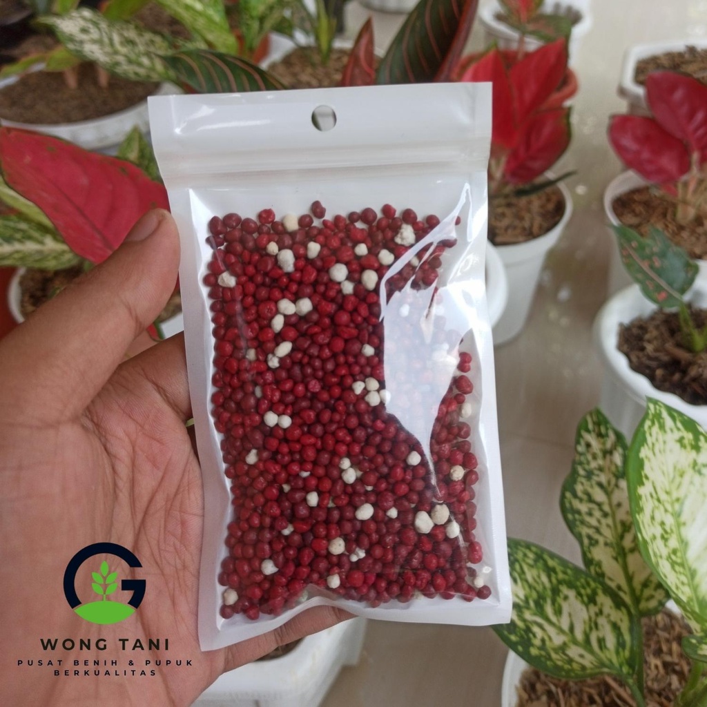 Pupuk Merah Osmocote 19-10-13 +2.5MgO + TE 50 gram Dekastar Tanaman Hias