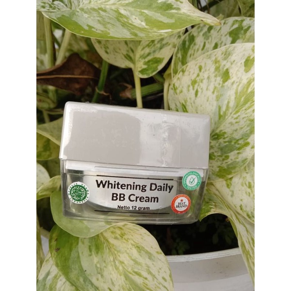 BB CREAM MS GLOW ORIGINAL!