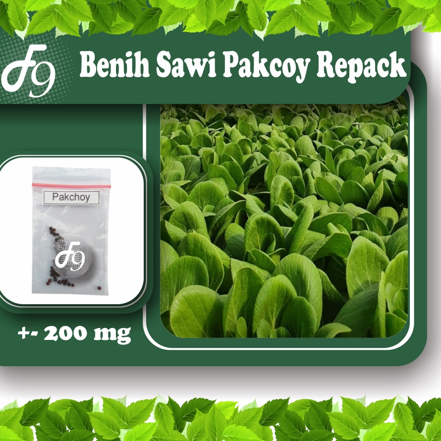 Benih Bibit Pakchoy pakcoy pokcoy Murah Repack Seribuan