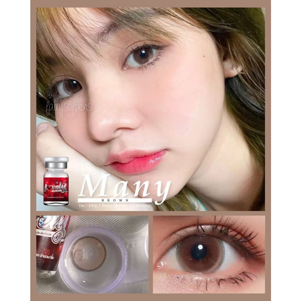 SOFTLENS MANY BROWN / KONTAK LENSA