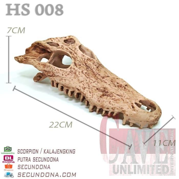 HS008 HIDING CAVE SKULL SKELETON TENGKORAK BUAYA CROCODILE FOR REPTILE