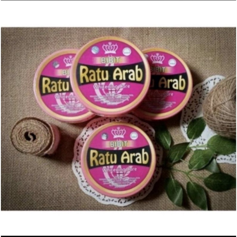 BIBIT RATU ARAB ORIGINAL//BIBIT RATU ARAB PEMUTIH//RATU ARAB//RATU ARAB ORIGINAL