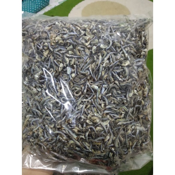 

bilis labak / ikan tamban ukuran kecil
