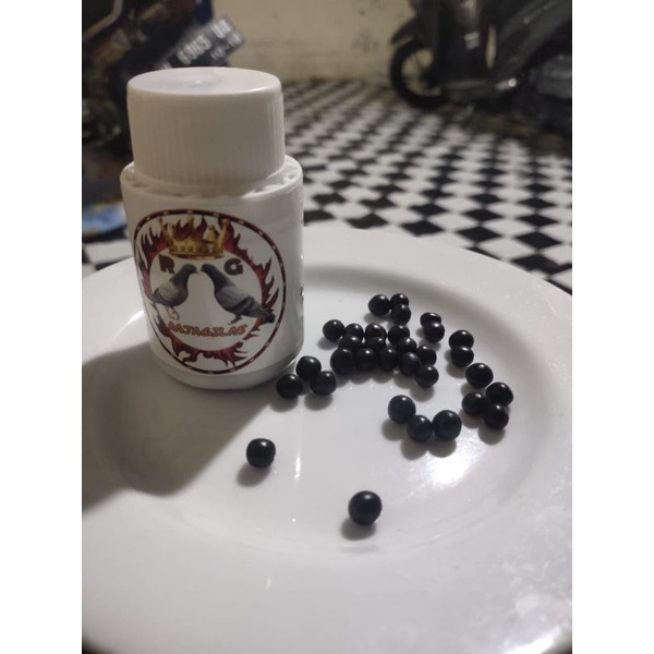 175 butir obat merpati jamu merpati doping merpati