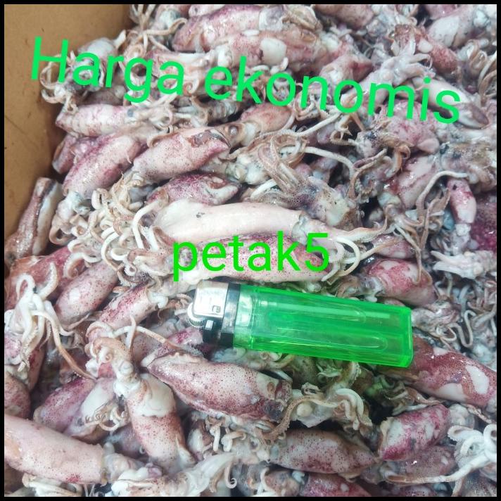 

Cumi Asin Grosir 10Kg Sedang