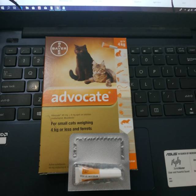 Obat Kutu Kucing Bayer Advocate Cat Up To 4 Kg For Kitten Shopee Indonesia