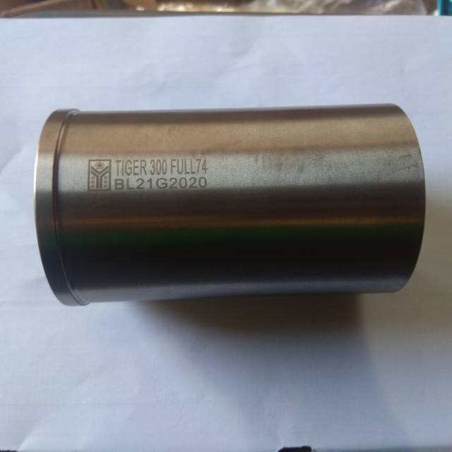 Boring tiger full 300