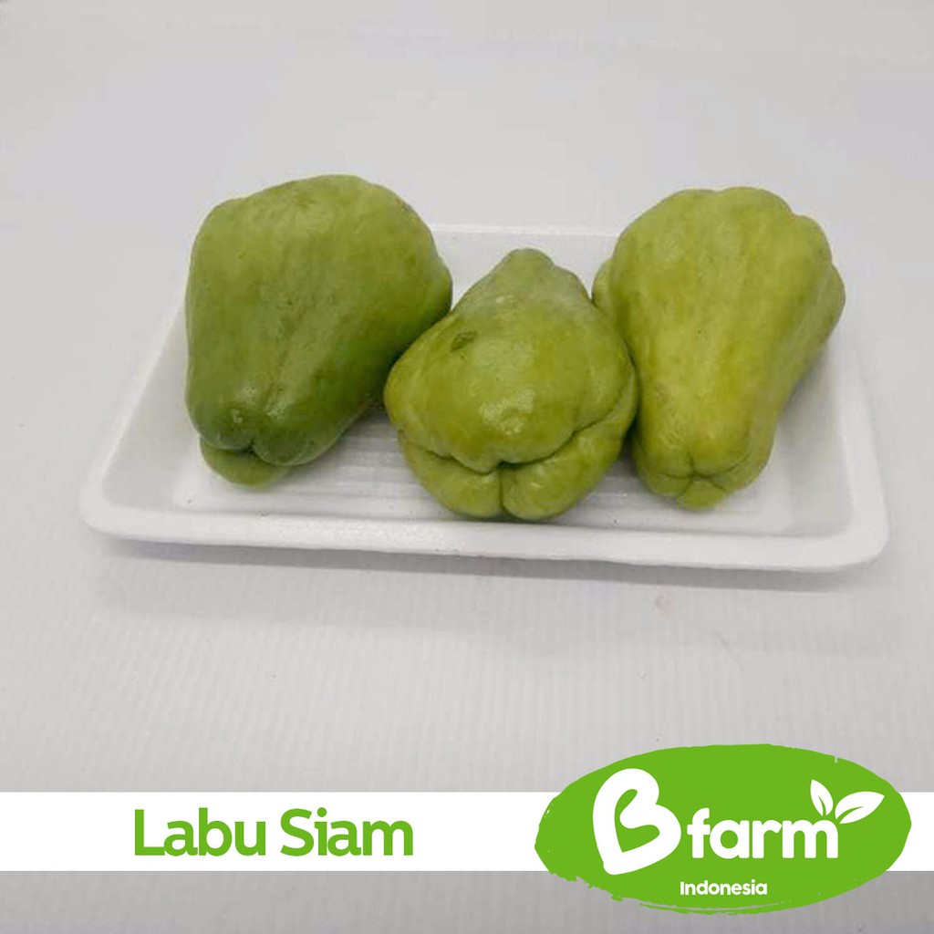 

Labu Siam 500 Gr (Area Bandung & Cimahi only) - Sayur Rumahan